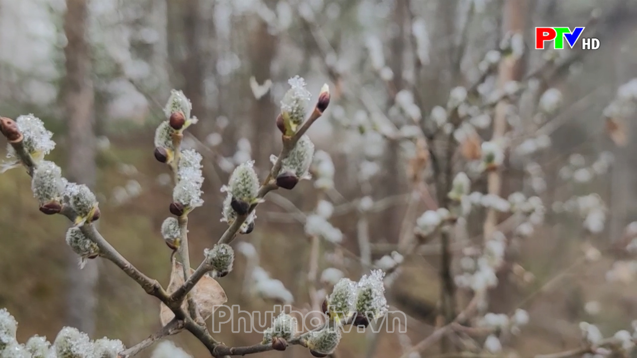 Văn hóa giải trí thế giới ngày 1152023 Đài Phát thanh và Truyền