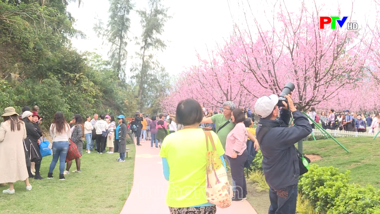 Văn hóa giải trí thế giới ngày 1522024 Đài Phát thanh và Truyền