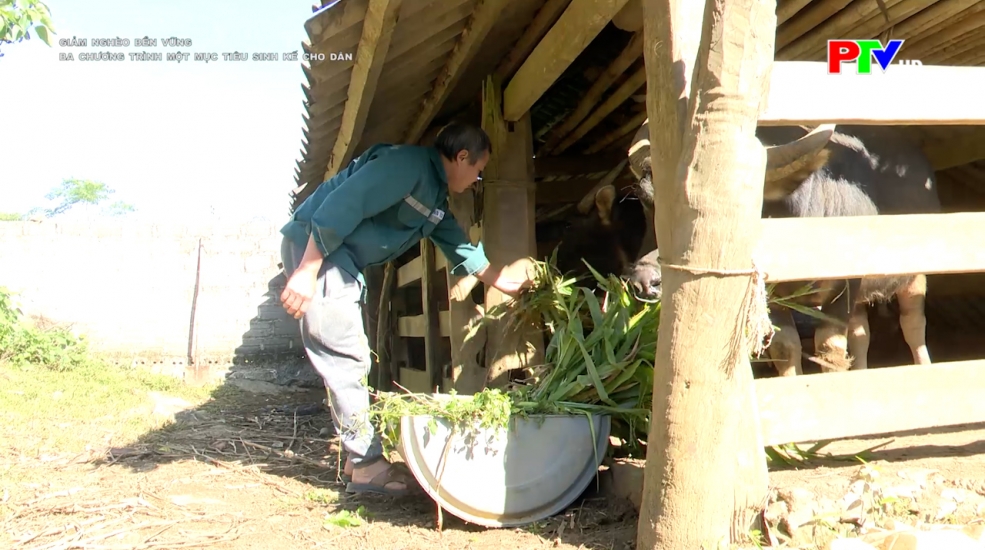 Ba chương trình - Một mục tiêu sinh kế cho dân