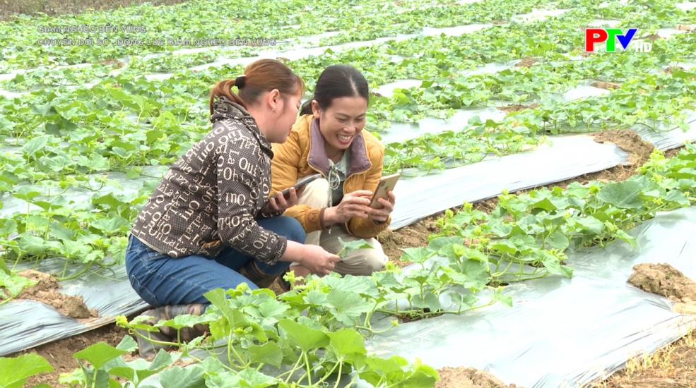 Chuyển đổi số - Động lực giảm nghèo bền vững