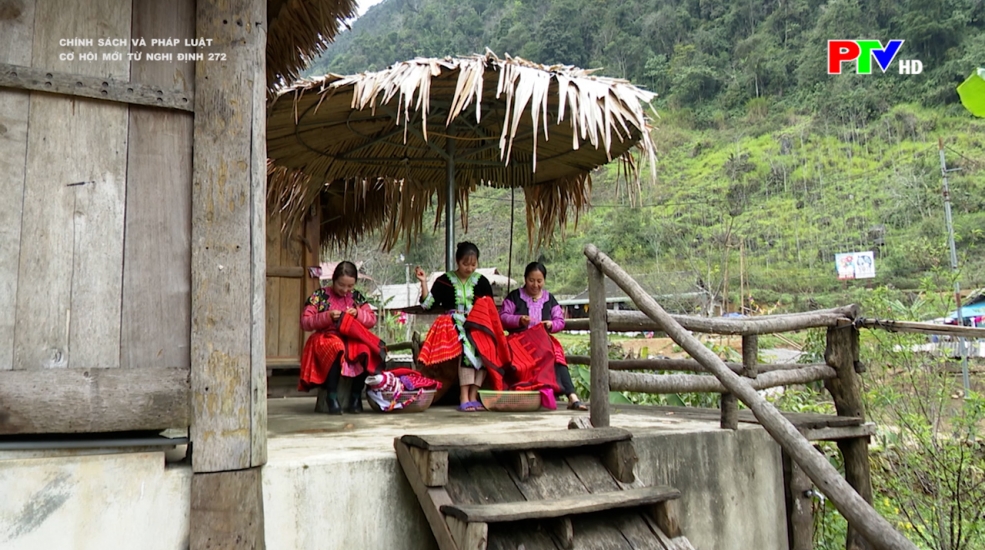 Cơ hội mới từ Nghị định 272