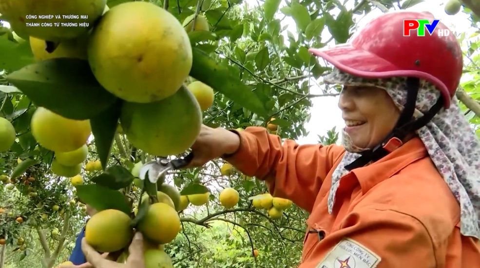 Công nghiệp và thương mại - Thành công từ thương hiệu