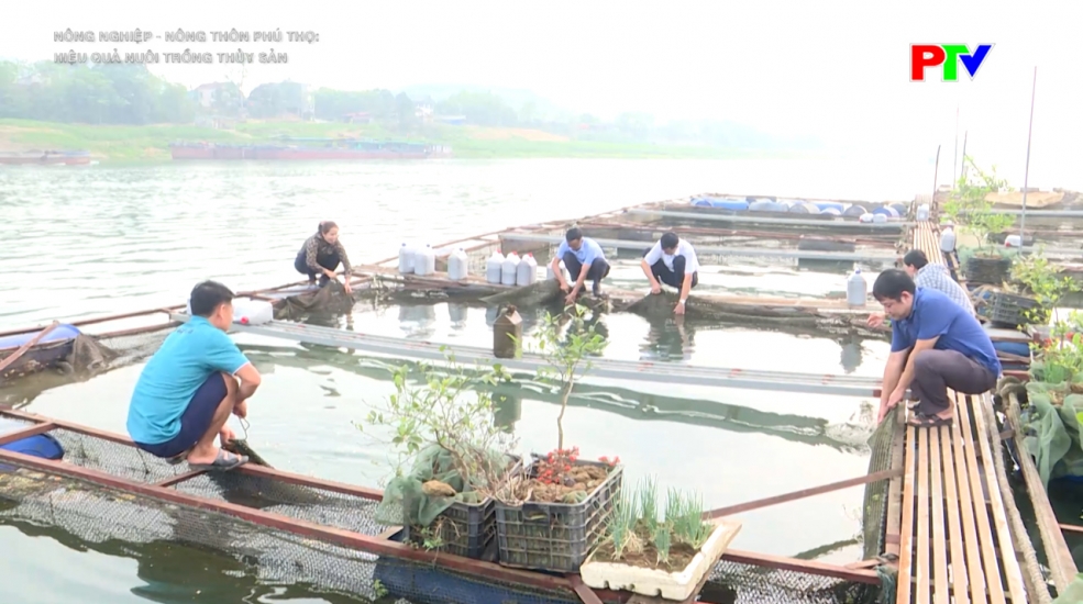 Hiệu quả từ nuôi trồng thủy sản