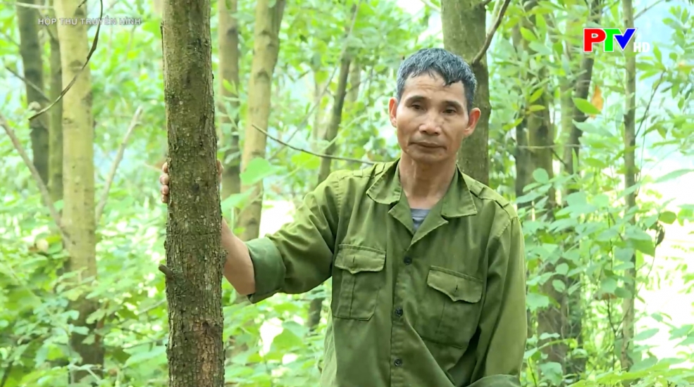 Hộp thư truyền hình ngày 30-11-2025