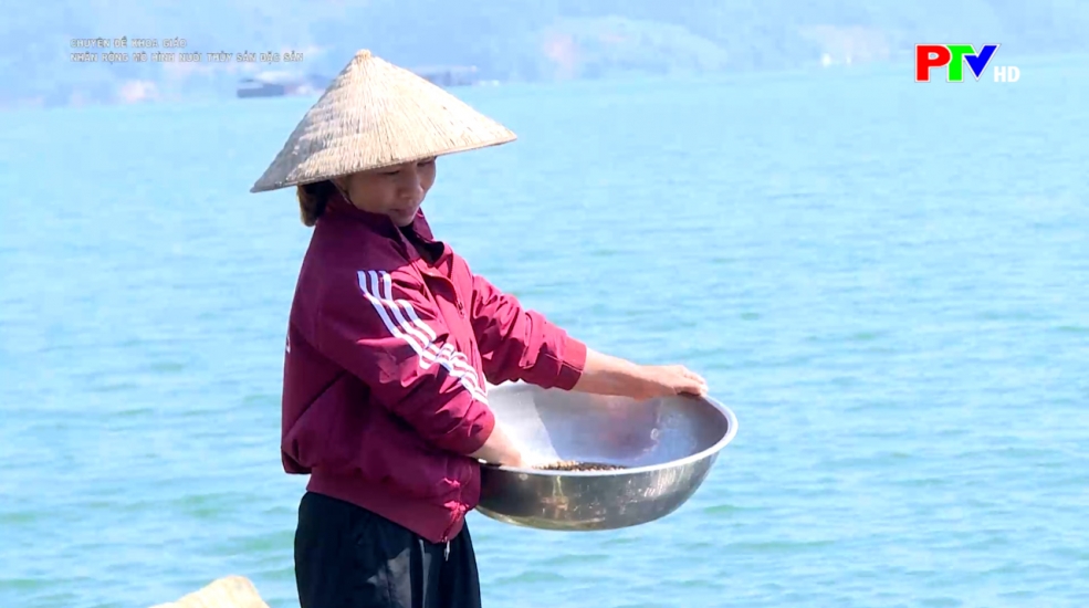 Khai thác tiềm năng, thế mạnh