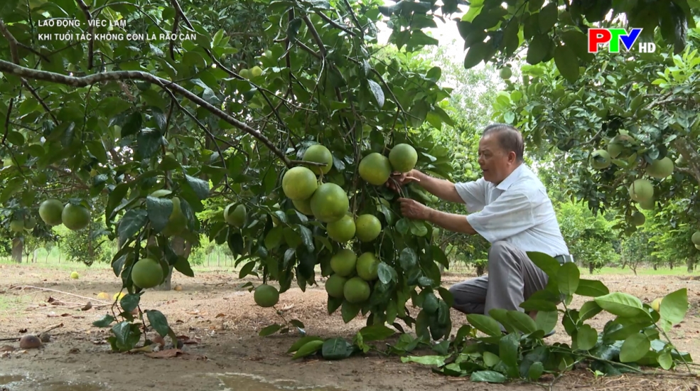Khi tuổi tác không còn là rào cản