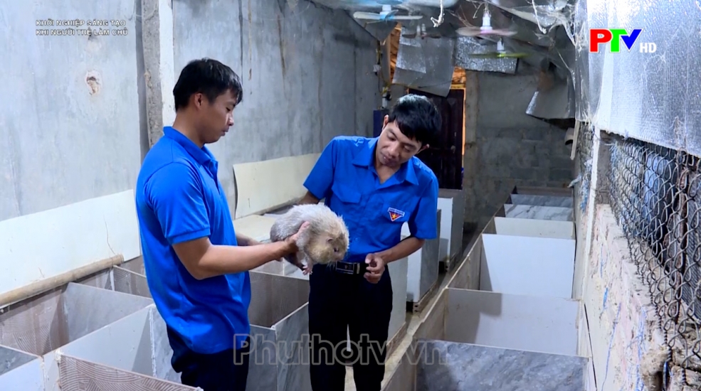Khởi nghiệp sáng tạo - Khi người trẻ làm chủ
