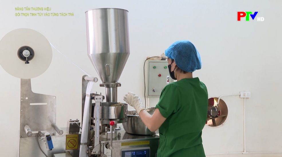 Nâng tầm thương hiệu - Gói trọn tinh túy vào từng tách trà Nâng tầm thương hiệu - Gói trọn tinh túy vào từng tách trà