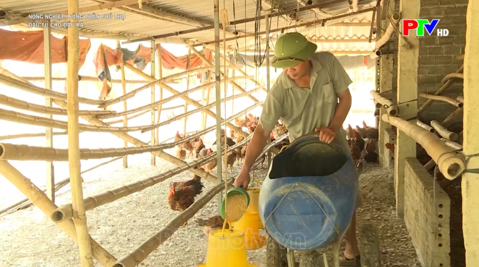 Nông nghiệp, nông thôn - Đầu tư cho đầu ra