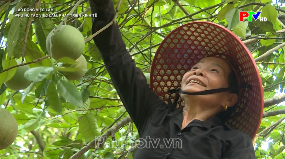 Lao động việc làm - Phụ nữ tạo việc làm, phát triển kinh tế