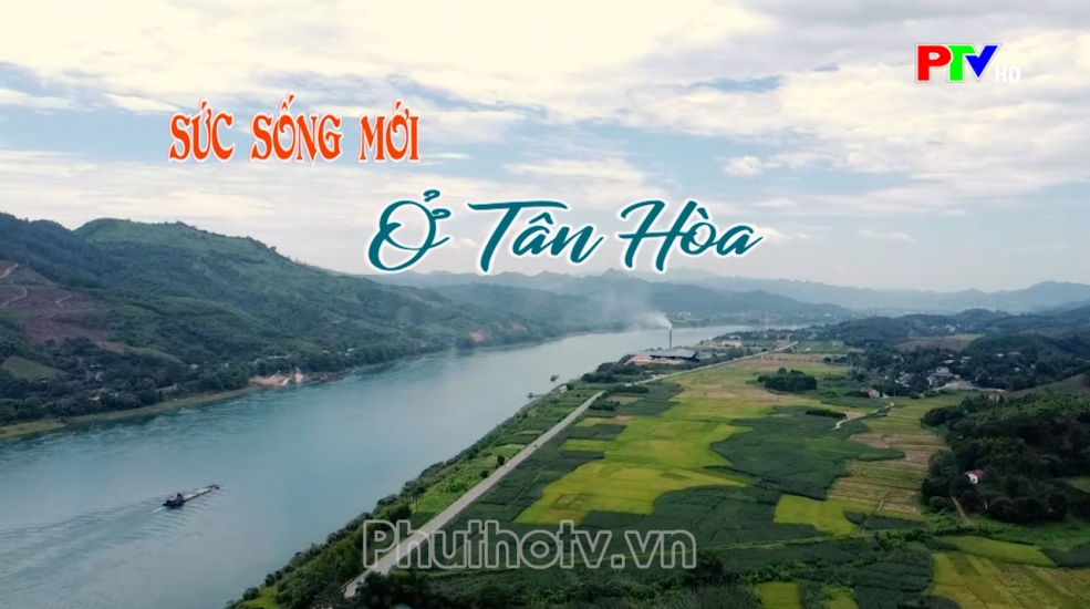 Phú Thọ Đất và Người - Sức sống mới ở Tân Hòa Phú Thọ Đất và Người - Sức sống mới ở Tân Hòa