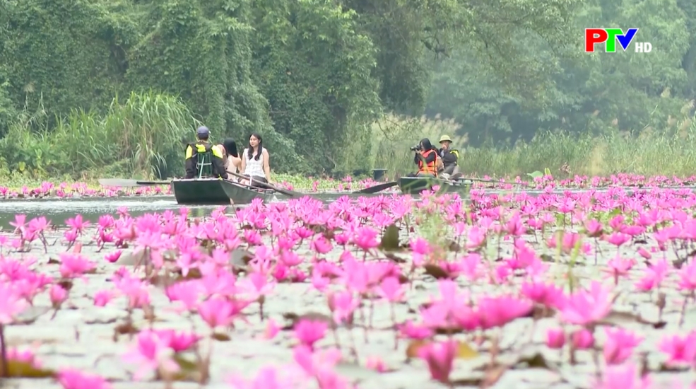 Phú Thọ ngày mới 9-11-2025 Phú Thọ ngày mới 9-11-2025