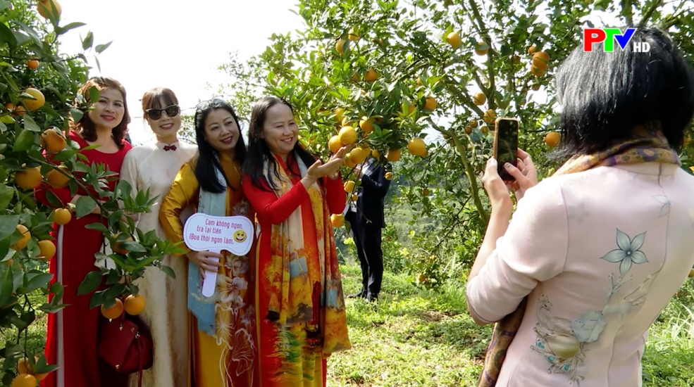 Phú Thọ ngày mới ngày 16-12-2025