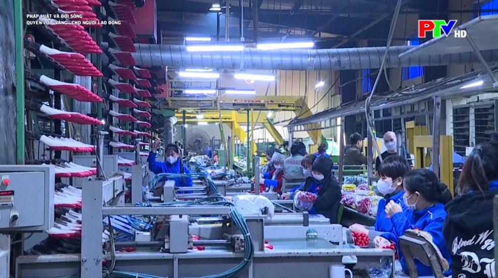 Quyền lợi "vàng" cho người lao động dịp Tết