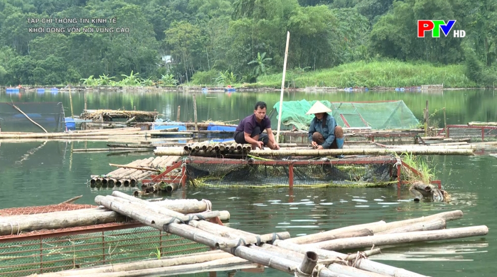 Thông tin kinh tế - Khơi dòng vốn nơi vùng cao