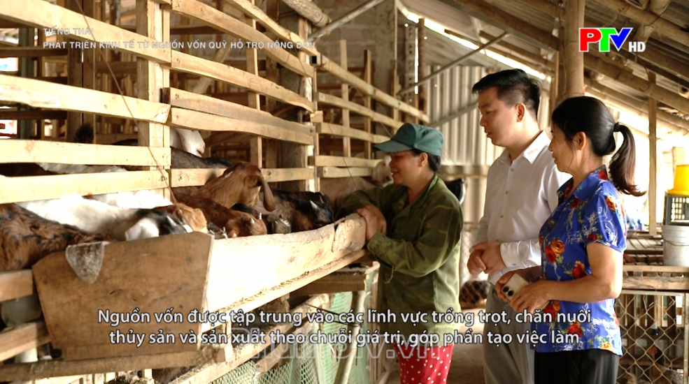 Tiếng Thái - Phát triển kinh tế từ nguồn vốn quỹ hỗ trợ nông dân Tiếng Thái - Phát triển kinh tế từ nguồn vốn quỹ hỗ trợ nông dân
