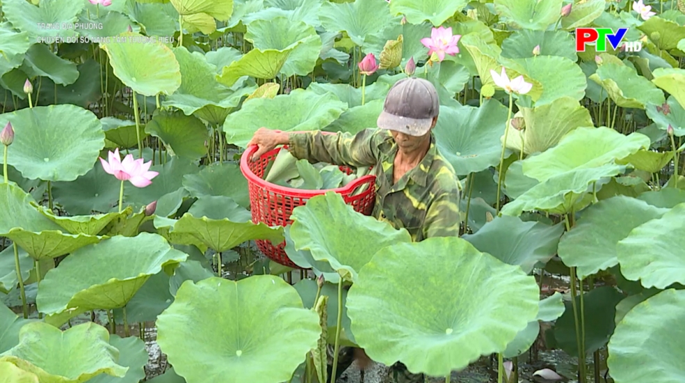 Trang địa phương ngày 12-4-2026
