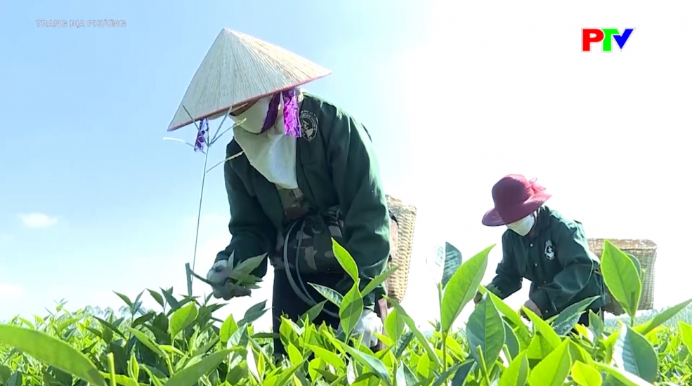 Trang địa phương ngày 16-3-2026