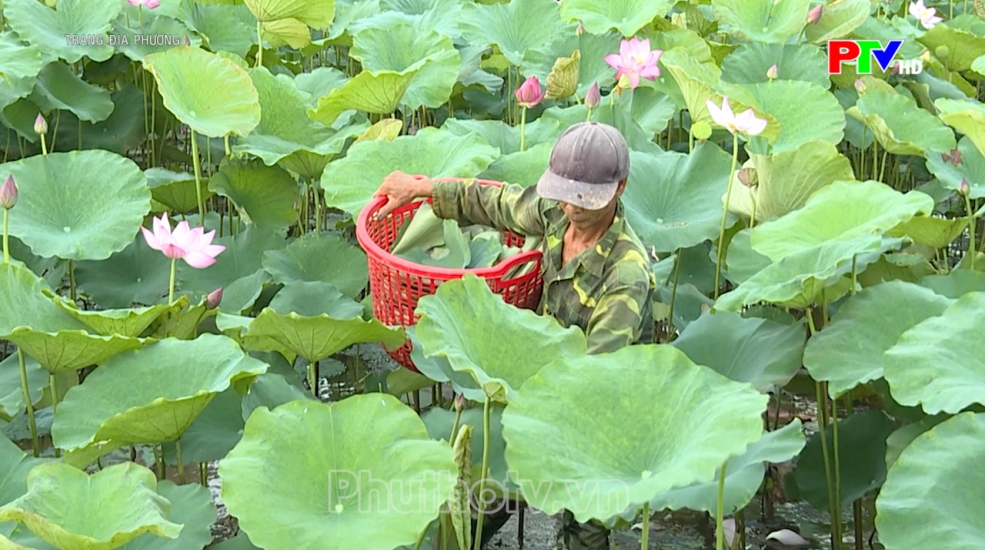 Trang địa phương ngày 27-07-2026 Trang địa phương ngày 27-07-2026
