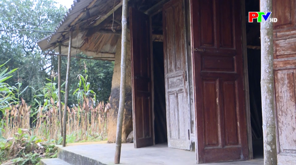 PTV kết nối yêu thương ngày 24-01-2026