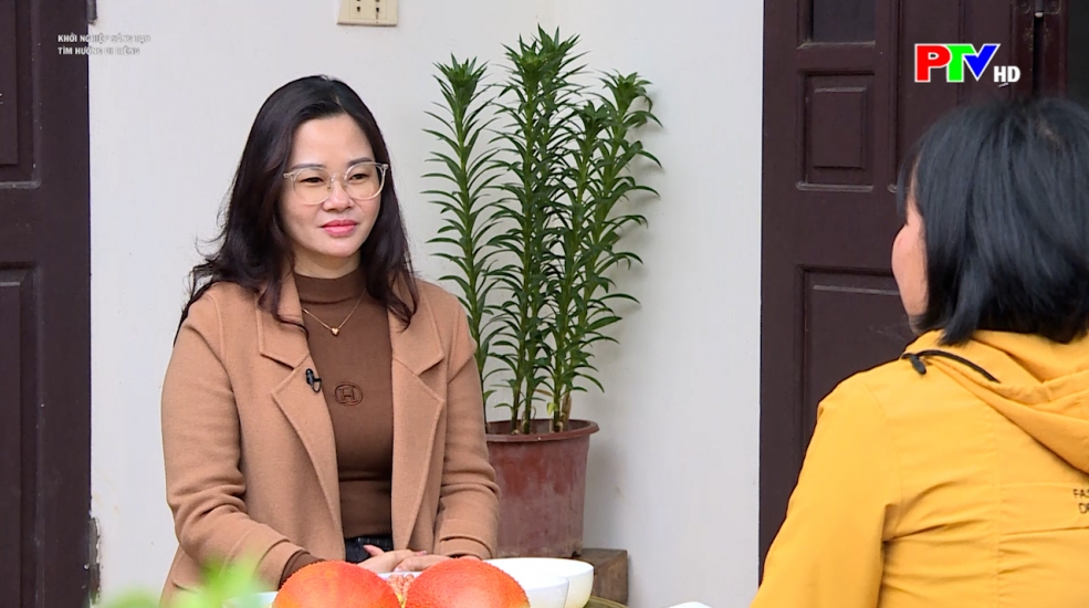 Khởi nghiệp sáng tạo – Tìm lối đi riêng