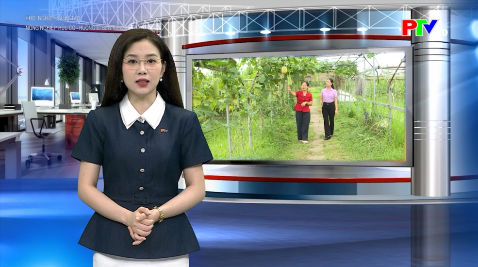 Khởi nghiệp sáng tạo: Nông nghiệp hữu cơ - hướng đi bền vững
