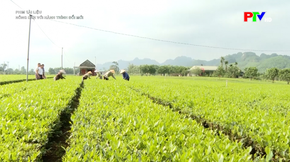 Phim tài liệu: Nông dân với hành trình đổi mới
