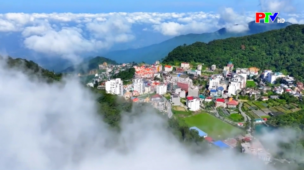 Phú Thọ - Đất và Người: Bồng bềnh mây núi Tam Đảo Phú Thọ - Đất và Người: Bồng bềnh mây núi Tam Đảo