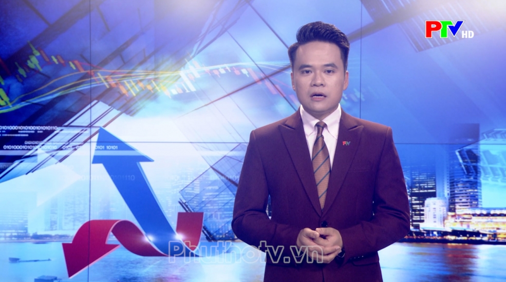 Thị trường tiêu dùng ngày 16-08-2026