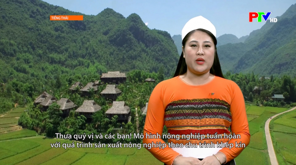 Chương trình tiếng Thái ngày 05-12-2025