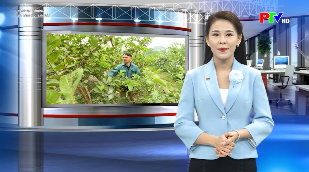 Trang địa phương ngày 12-01-2026: Sức sống mới Tam Đảo