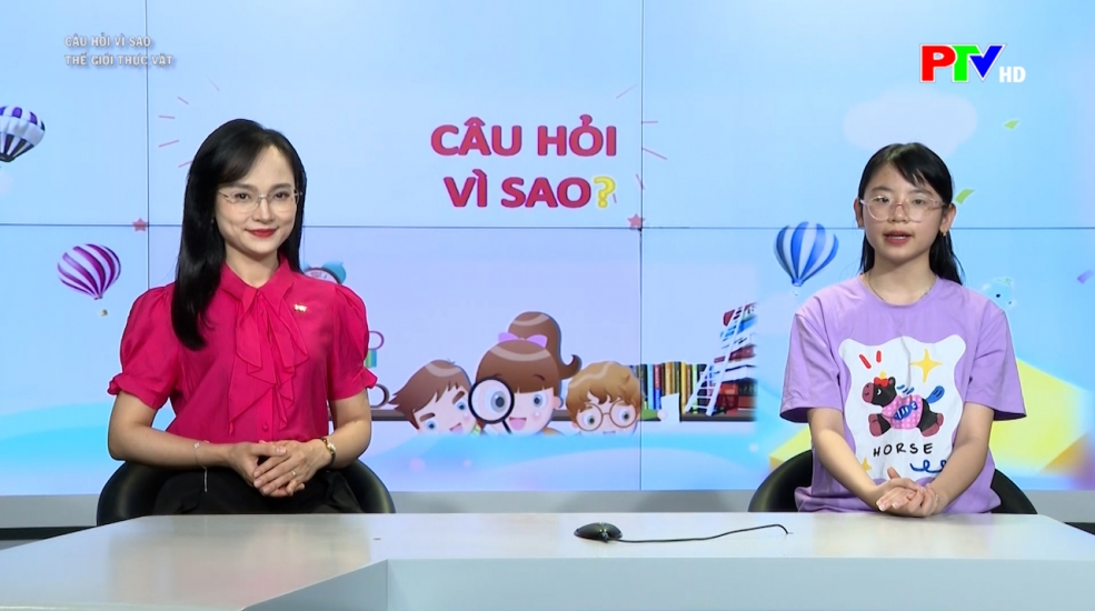 Dành cho thiếu nhi - Câu hỏi vì sao: Thế giới thực vật