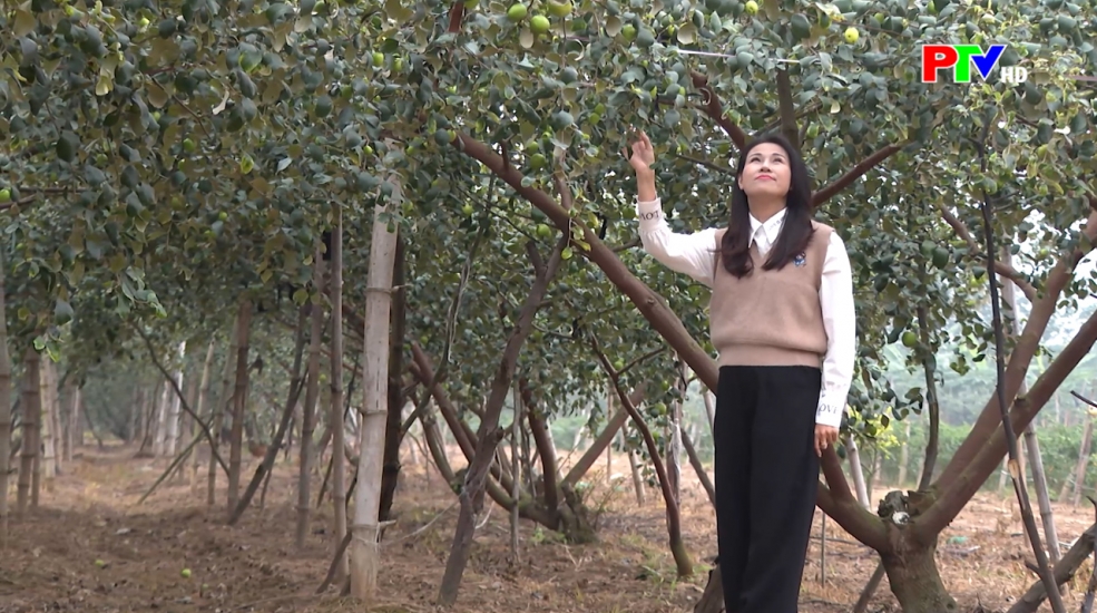 Khoảnh khắc cuộc sống – Khi mùa Xuân chín trên cành