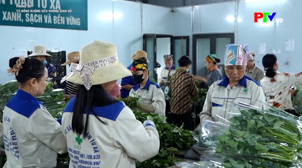 Phóng sự: Từ đồng ruộng đến không gian số Phóng sự: Từ đồng ruộng đến không gian số