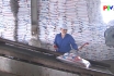 Công ty Supe phốt phát và hóa chất Lâm Thao với nông dân