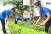 Động lực thực hiện phong trào