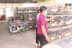 Lao động Việc làm - Việc làm cho lao động nữ nông thôn