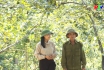 Nông nghiệp Phú Thọ: Cây hồng trên đất Gia Thanh