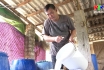 Nông thôn mới Phú Thọ: Cần chính sách cho chương trình OCOP
