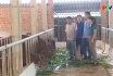 Phòng bệnh cho đàn vật nuôi khi thời tiết nắng nóng