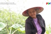 Phụ nữ Tân Sơn với mô hình Vườn rau sạch