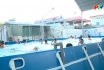 Bơi lội - Hoạt động thể thao ngày hè