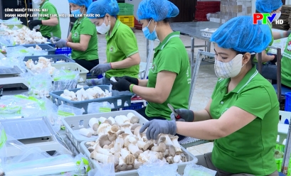 Công nghiệp thương mại - Doanh nghiệp làm trung tâm, hiệu quả làm thước đo Công nghiệp thương mại - Doanh nghiệp làm trung tâm, hiệu quả làm thước đo