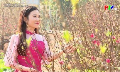 Công nghiệp và thương mại - Sôi động thị trường hoa cây cảnh ngày Tết