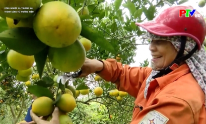 Công nghiệp và thương mại - Thành công từ thương hiệu