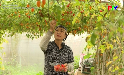 Miễn thuế đất nông nghiệp - Động lực cho sản xuất Miễn thuế đất nông nghiệp - Động lực cho sản xuất