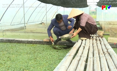 Tạp chí thông tin kinh tế - Phát triển kinh tế từ giống cây trồng, vật nuôi mới