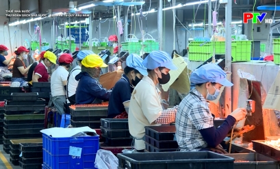 Thuế nhà nước - Thu ngân sách nhà nước: Bứt phá từ quý đầu năm