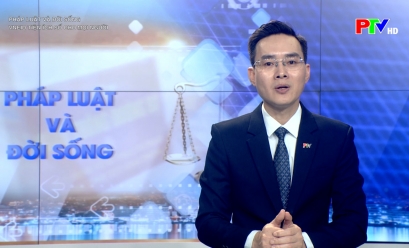 Pháp luật và đời sống: VneID - tiện ích số cho mọi người