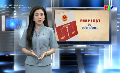 Pháp luật và đời sống: Chính sách mới - quyền lợi mới